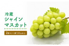 【長期冷蔵品(岡山県産）】冷蔵シャインマスカット2房入り（1房530ｇ以上）＜2024年発送＞