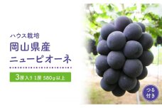 【ハウス栽培】岡山県産ニューピオーネつる付き3房入り（1房580ｇ以上）　＜2024年発送＞