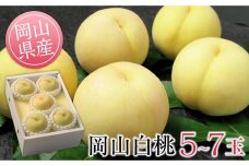 GU03　◆先行受付◆　岡山県産　清水白桃5～7玉　1.5kg以上　2024年発送