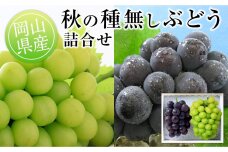 GU05　◆先行受付◆　岡山県産　秋の種無しぶどう詰合せ　計1.2kg以上　2025年発送