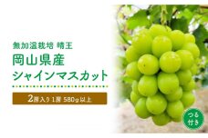 【無加温栽培（晴王）】岡山県産シャインマスカットつる付き2房入り＜2024年発送＞