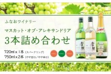 AJ31　マスカット・オブ・アレキサンドリア　3本詰め合わせ（化粧箱入り）
