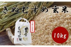 HD06　令和6年度産  きぬむすめ 玄米 10kg　岡山県倉敷市産