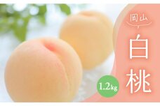 HN02　岡山白桃　1.2kg　※北海道・沖縄県・その他離島配送不可※