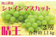 HT01　【先行予約】シャインマスカット晴王　2房【化粧箱入】　約1.1kg