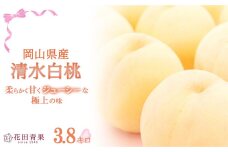 HU006　清水白桃 3.8キロ