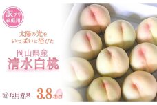 HU008【訳アリ家庭用】清水白桃 3.8キロ