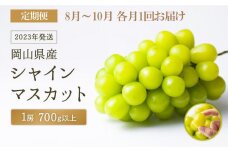 GJ59 先行予約【定期便】シャインマスカット1房（700g以上）8～10月 各月1回（計3回）