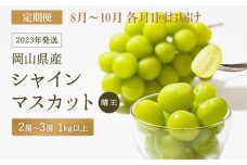 GJ63【定期便】シャインマスカット　晴王２～３房（1kg以上）8～10月 各月1回お届け（計3回）