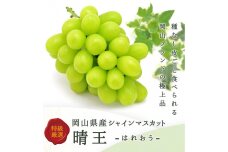 HW003　シャインマスカット＜晴王＞　950ｇ前後1房（化粧箱入り）【7月中旬～11月中旬お届け】