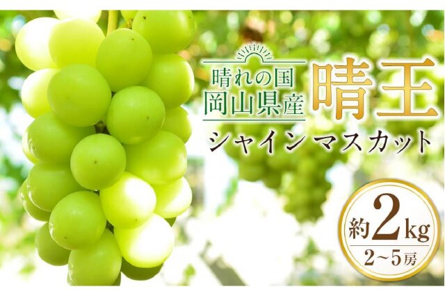 ふるさと納税 「JA04 シャインマスカット 晴王 合計約2kg 2-5房入り 岡山県産」 岡山県倉敷市 - ふるさと納税の「ふるさとぷらす」