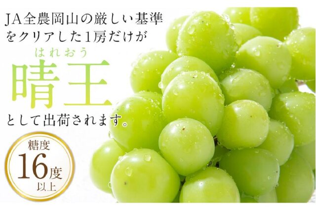 ふるさと納税 「JA11 シャインマスカット 晴王 合計約5kg 5-9房入り 岡山県産」 岡山県倉敷市 - ふるさと納税の「ふるさとぷらす」