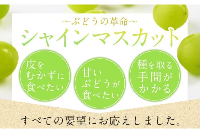 ふるさと納税 「JA11 シャインマスカット 晴王 合計約5kg 5-9房入り 岡山県産」 岡山県倉敷市 - ふるさと納税の「ふるさとぷらす」