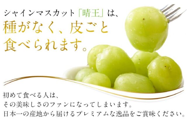 ふるさと納税 「JA11 シャインマスカット 晴王 合計約5kg 5-9房入り 岡山県産」 岡山県倉敷市 - ふるさと納税の「ふるさとぷらす」