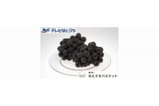 GK16　【2024年発送】岡山県産ニューピオーネ（ご家庭用）約１．２ｋｇ（２～３房）　