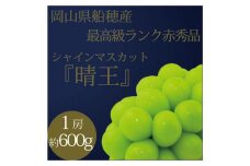 2025年 先行予約最高級品シャイン マスカット 晴王 1房 約600g