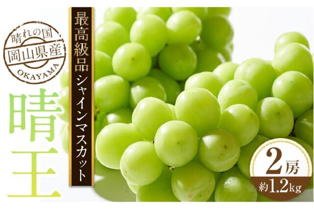 ふるさと納税 「2025年 先行予約 最高級品シャイン マスカット 晴王 2房 〈合計約1.2kg〉」 岡山県倉敷市 -  ふるさと納税の「ふるさとぷらす」