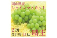 2025年　先行予約 9月・10月発送 シャイン マスカット 晴王 2房（合計約1.1kg）