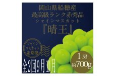 【定期便 全2回】2025年 先行予約 最高級品シャイン マスカット 晴王 1房 約700g