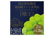 【定期便全2回】2025年 先行予約 最高級品シャイン マスカット 晴王 2房 〈合計約1.2kg〉