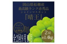 【定期便全2回】2025年 先行予約 最高級品シャイン マスカット 晴王 2房 〈合計約1.4kg〉