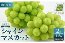 KP11 2025年予約受付中 シャインマスカット 晴王 2房 約1.2kg 3回定期便