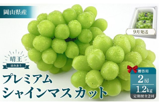 gentsuki2shu様プレミアムシャインマスカット2房最高ランク品 gentsuki2shu様プレミアムシャインマスカット2房最高ランク品
