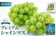 KP44 2025年予約受付中  プレミアム　シャインマスカット　晴王 2房約1.4kg　2回定期便