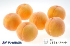 GK21　【2025年発送】黄金桃（ご家庭用）約１．９ｋｇ（６～９玉入り）