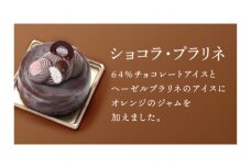 ES05　アイスケーキ ショコラ・プラリネ【アイスケーキ アイス ケーキ 洋菓子 菓子】