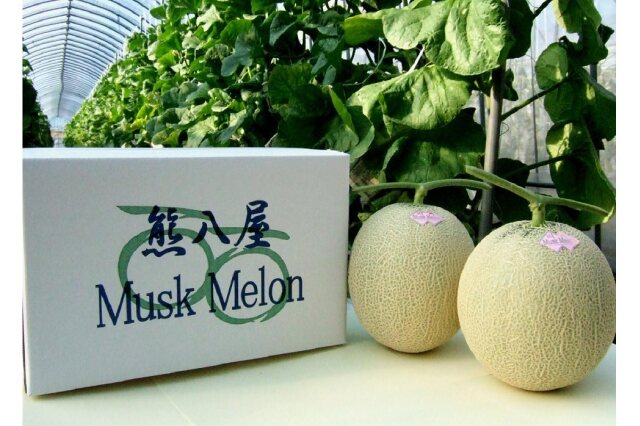 ふるさと納税 「「熊八屋のマスクメロン」2玉入 2025年10月発送