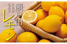 瀬戸田レモン3ｋｇ　＜2023年11月中旬より発送開始＞