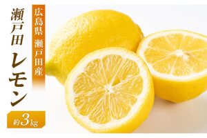 瀬戸田レモン3ｋｇ　＜2025年11月上旬より発送開始＞