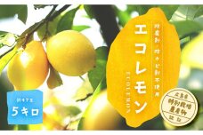 エコレモン５Ｋｇ-防腐剤・防カビ剤不使用で皮まで安心　広島県特別栽培農産物認証