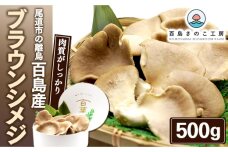 尾道市の離島　百島産「ブラウンシメジ」