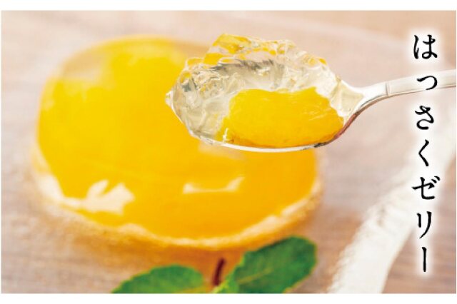 ふるさと納税 「因島のはっさくゼリー72個入り」 広島県尾道市