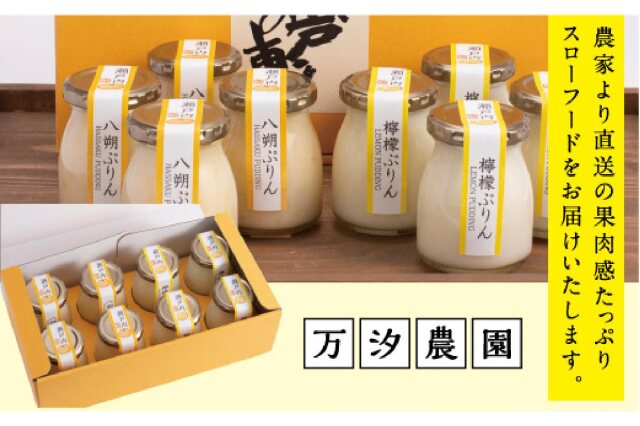 【ぶっち様】専用　No.81 お花のスープマグ　　やちむん　他おまとめ ふるさと納税 「万汐（まんちょう）さんの 八朔・檸檬ぷりん詰合せ