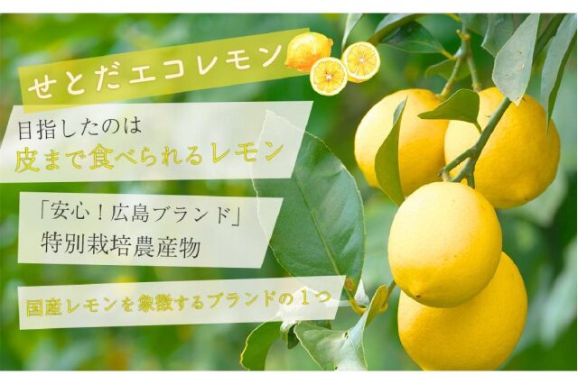 【美品】レモンパワー大好きな方　最強セット　【おまけ付き】 ふるさと納税 「瀬戸田レモン蜂蜜シロップ漬セット」 広島県尾道市