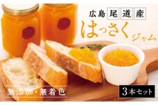無添加＆無着色！尾道産「はっさくジャム」3本セット