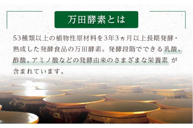 ふるさと納税 「万田酵素金印ペースト（分包）タイプ 150g(2.5g×60包