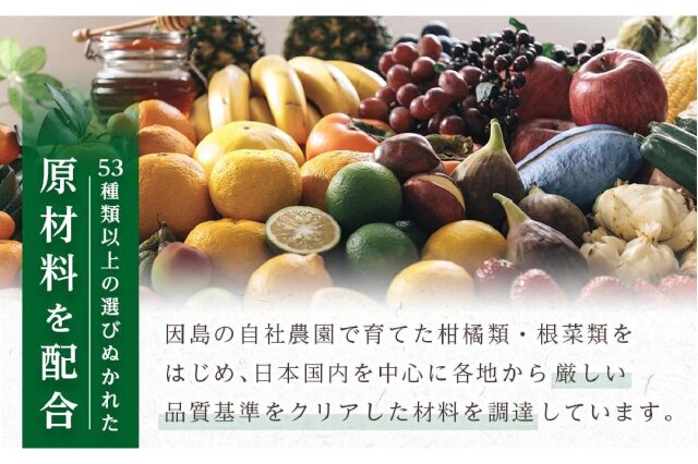 ふるさと納税 「万田酵素金印ペースト（分包）タイプ 150g(2.5g×60包