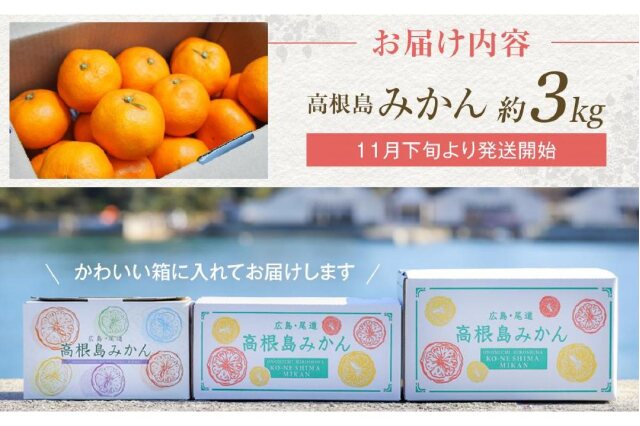 ふるさと納税 「こだわり栽培 高根島みかん 3kg ＜2025年11月下旬より