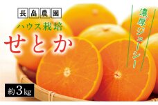 濃厚・ジューシー！ハウス栽培せとか　約3ｋｇ　化粧箱入り　＜2025年2月下旬より発送開始＞