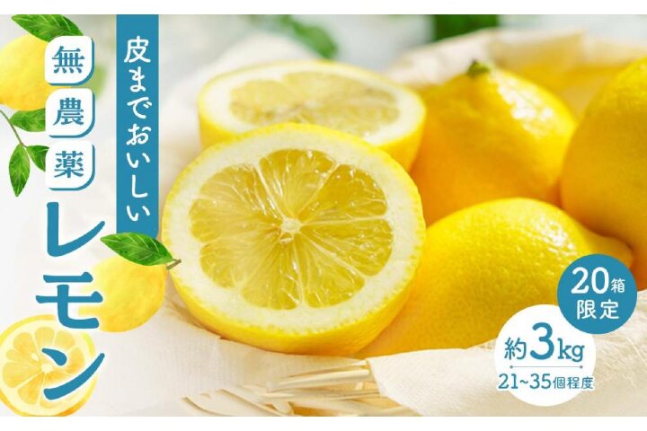 ふるさと納税 月間箱限定 皮まで美味しい無農薬レモン3 広島県尾道市 ふるさと納税の ふるさとぷらす