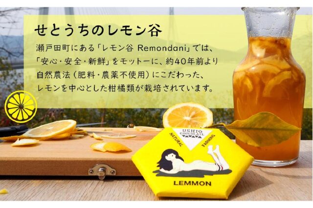 10国産瀬戸田レモン10kg前後 1国産瀬戸田レモン10kg前後 【公式通販】