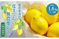 【30箱限定】皮まで美味しい無農薬レモン　家庭用1.6kg