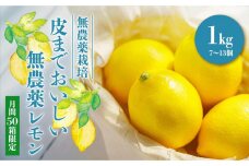 ＜先行予約＞　皮まで美味しい無農薬レモン 約1kg