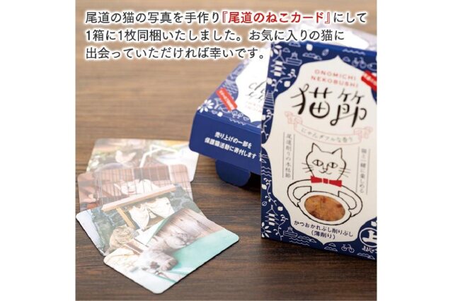 シュレディンガーの猫」の猫ちゃんとお花 5000円