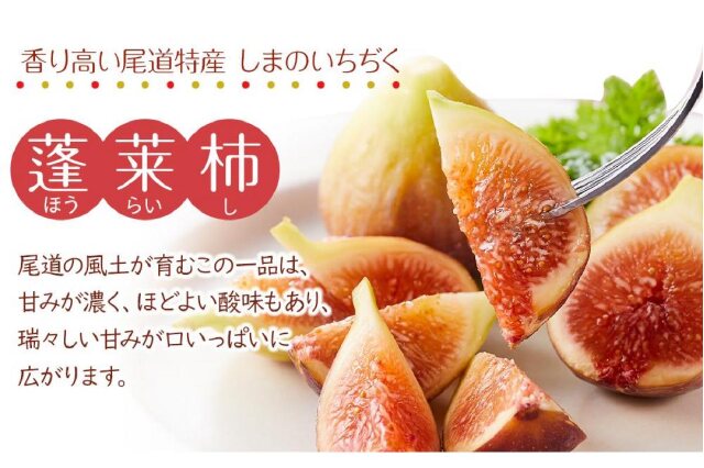 「常夏みかん 様」蓬莱柿 常夏みかん 様」蓬莱柿 常夏みかん 様」蓬莱柿 17-23f6.jpg