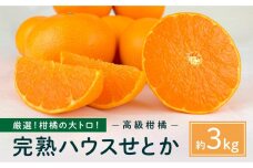 【先行予約】厳選！柑橘の大トロ！完熟ハウスせとか（約3kg）２０２３年３月上旬?発送予定